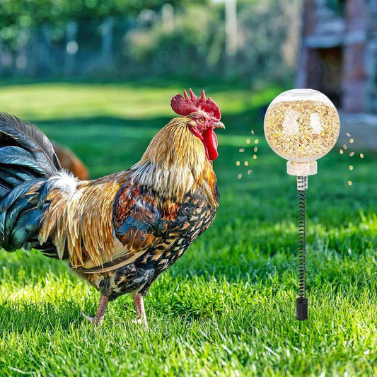 🔥HOT SALE 50% OFF🔥-Chicken Peck Toy, Chicken Swing Feeder, Chick Slow Feeder Toy (2 Pack)
