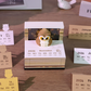 Calendar 3D - Magic Owl