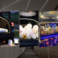 🔥Hot Sale Deals-Nice Gift * Light Strip for Decorative Car Trunk Lamp