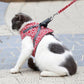 🔥Hot Sale 49% Off🔥Pet Leash Anti-break Away Chest Strap Vest Harness
