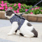 🔥Hot Sale 49% Off🔥Pet Leash Anti-break Away Chest Strap Vest Harness
