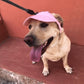 🐶Hot Sale 49% Off🔥Dog Hat
